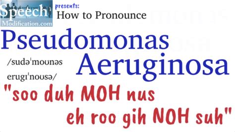 p. aeruginosa pronunciation|More.